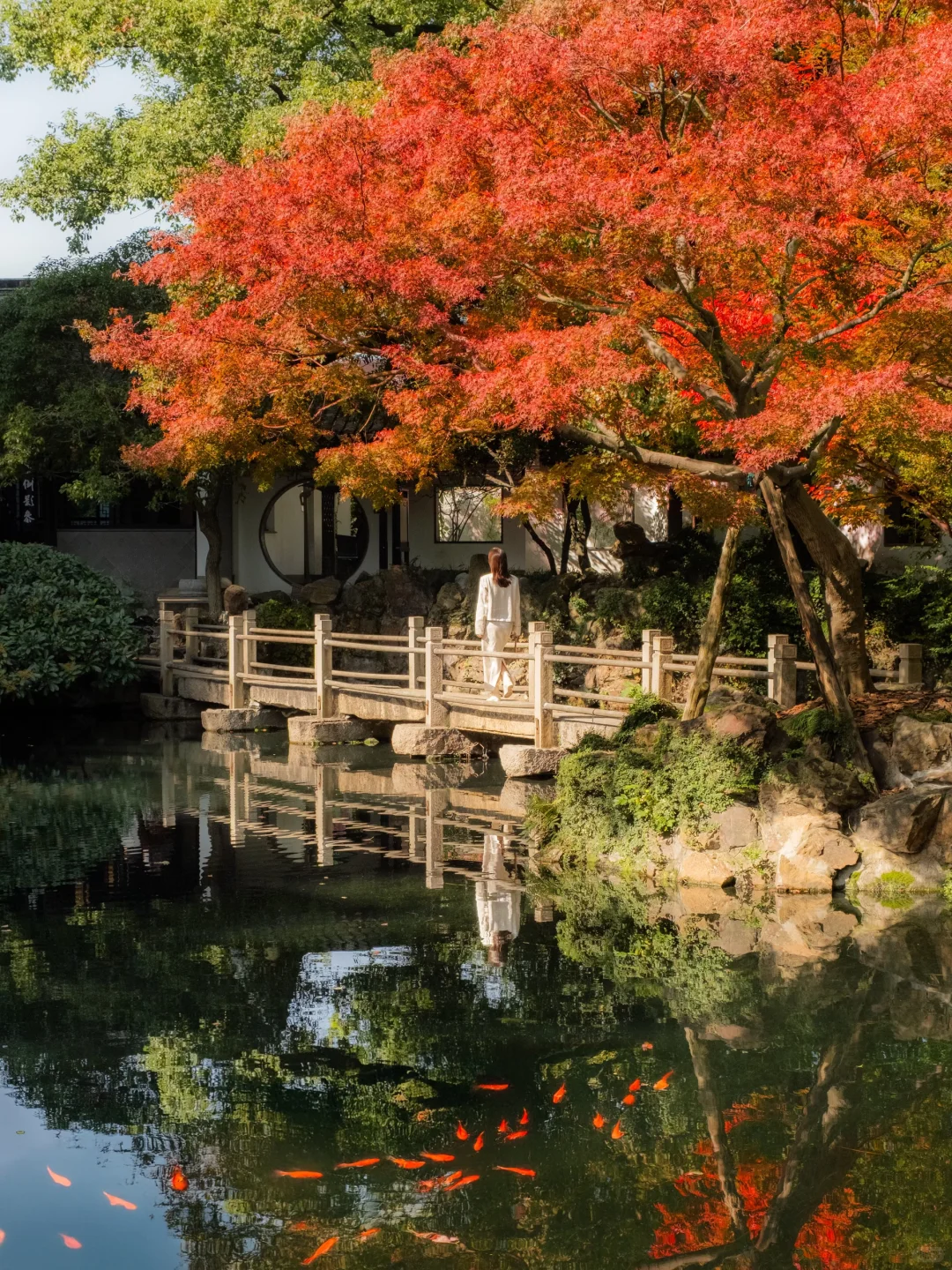 我以为苏州的秋天够美了，直到我来了无锡
