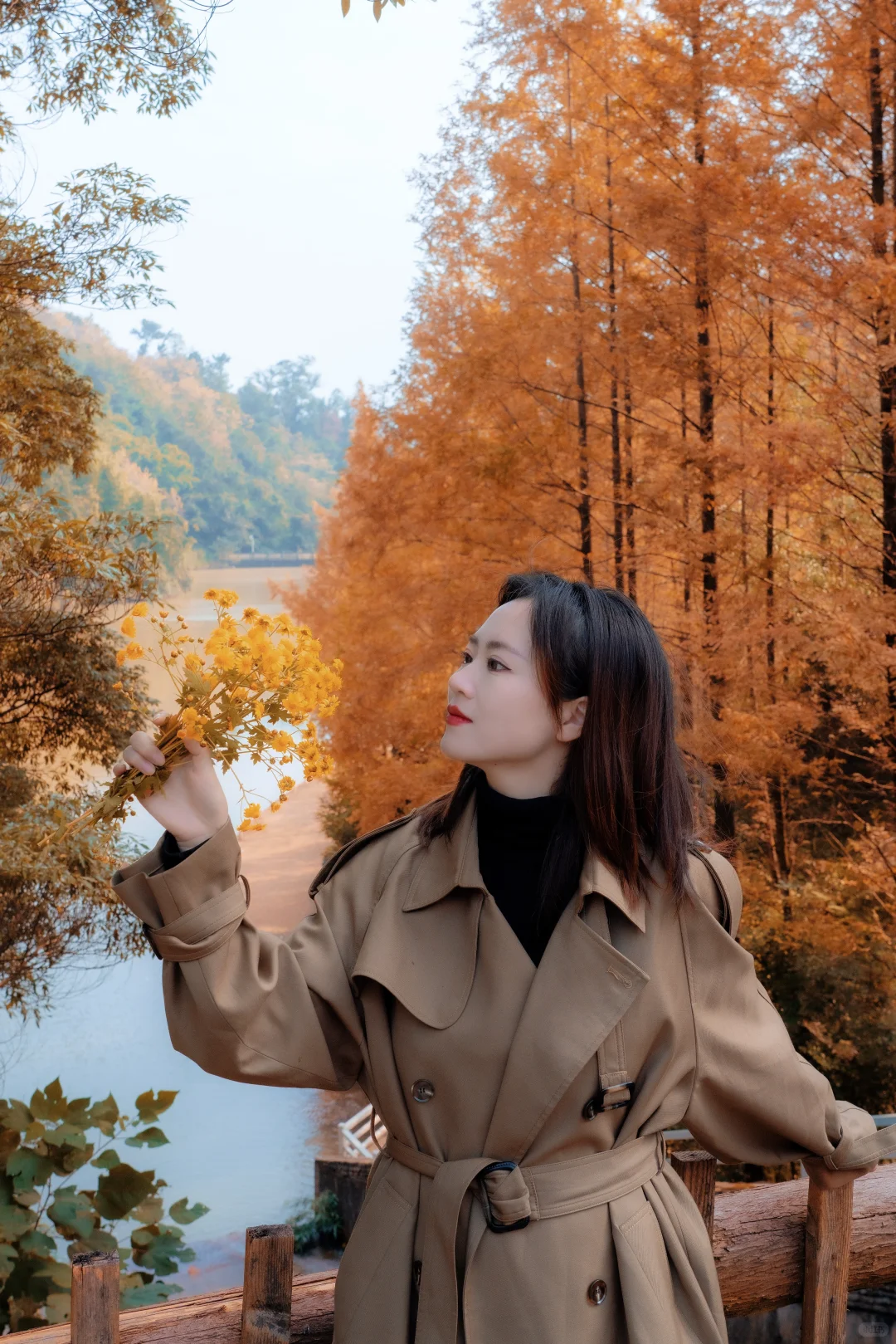 🍂北碚这条免费小众路线藏了整个秋天！