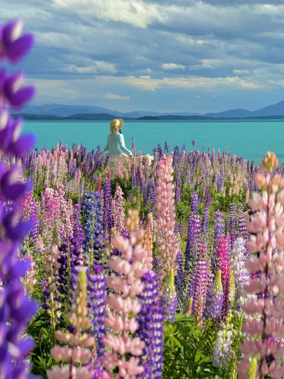 这辈子都舍不得删的live图🌿