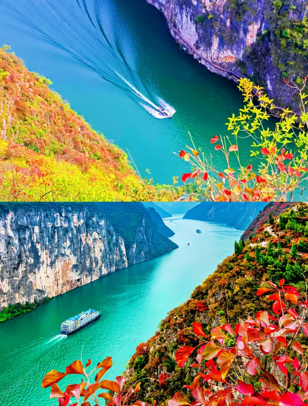 三峡红叶季封神！长江奇迹号游轮躺玩攻略