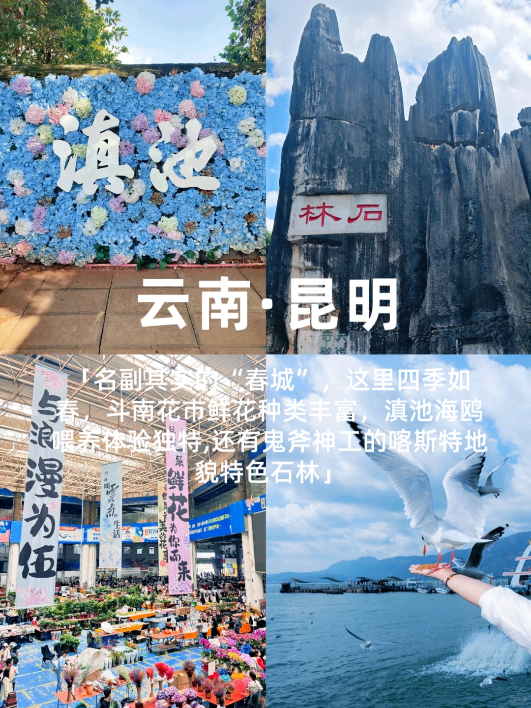 人生建议‼️适合冬季避寒的10个城市