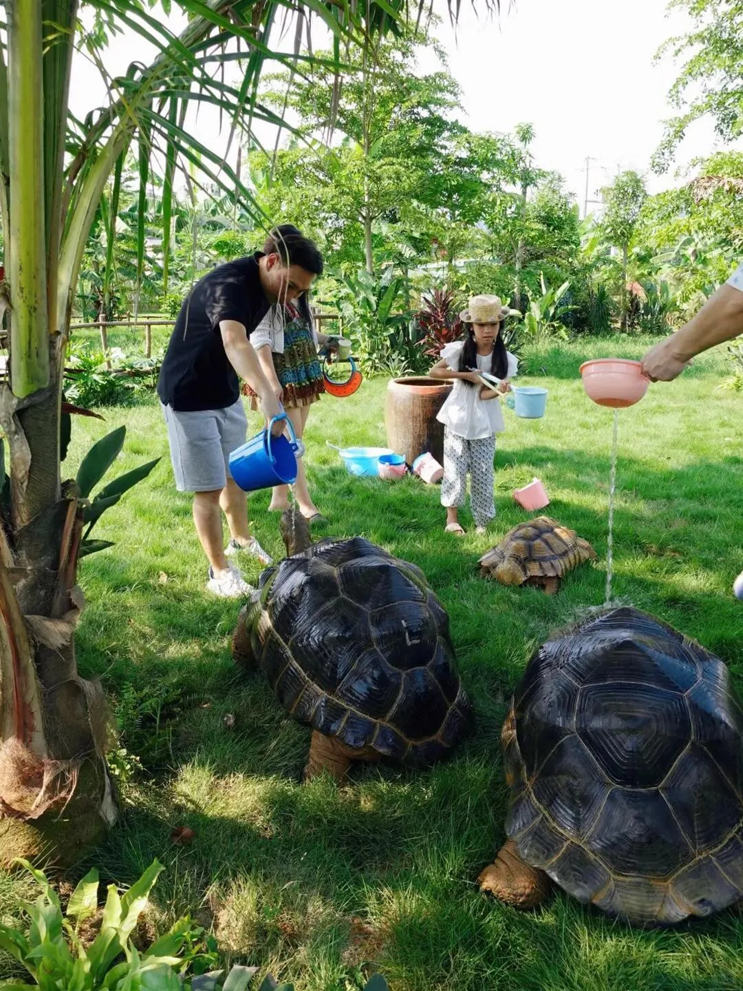 放弃三亚❗国庆来崇左旅游，真比新西兰震撼