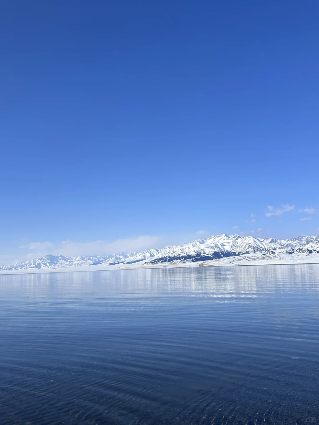 新疆7 天6晚保姆级攻略|赛湖+禾木+滑雪