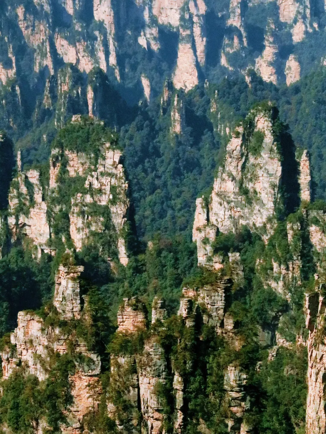 阿凡达取景地超全攻略,这样玩准没错