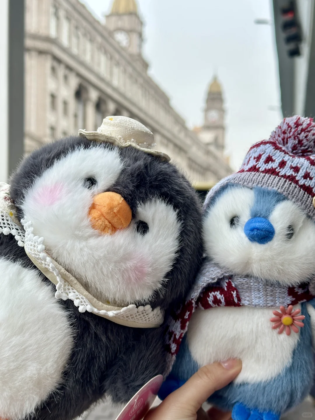 在哈尔滨的4天3晚❄️南方J人自由行攻略