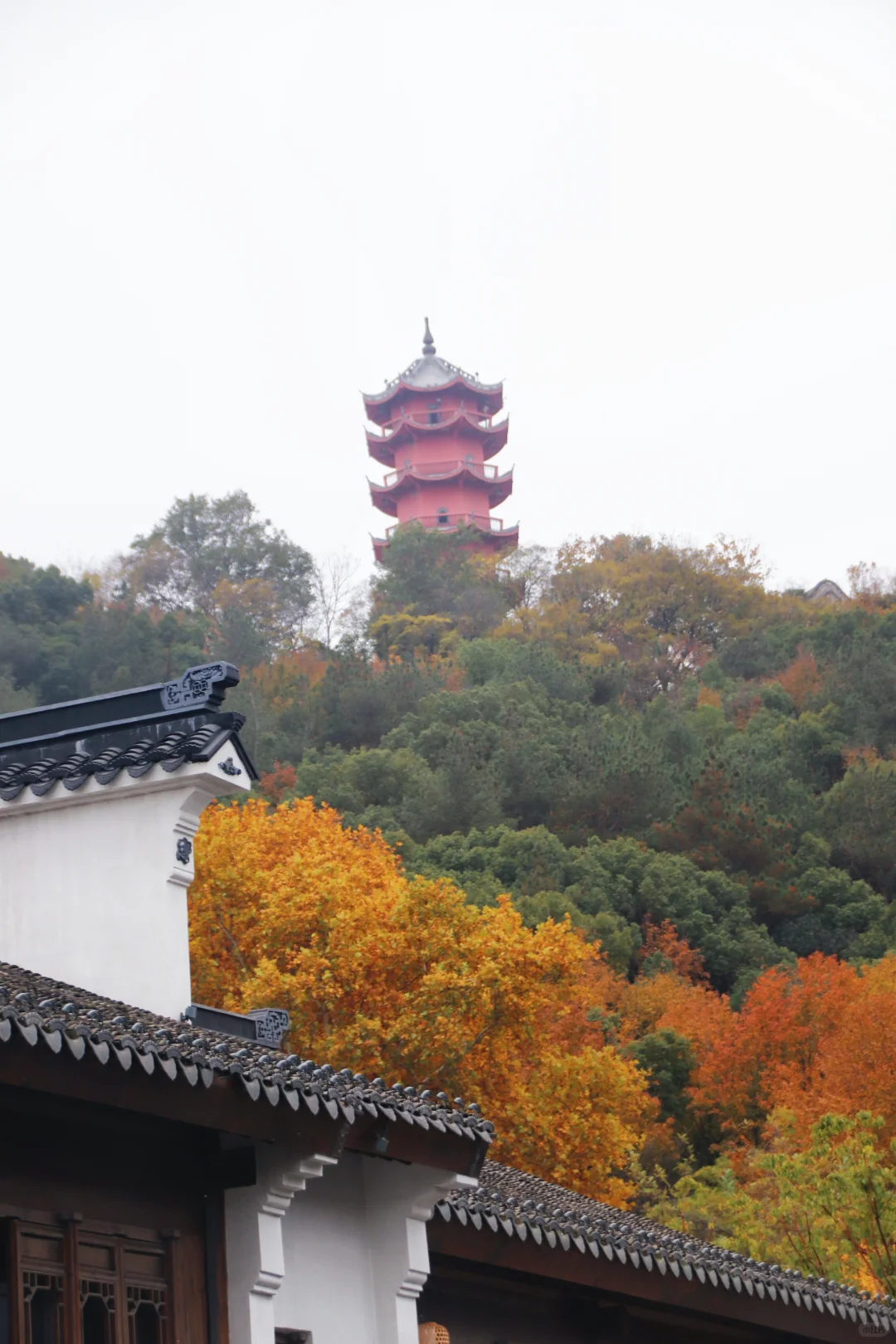 这个季节的惠山古镇，谁来了都要驻足欣赏