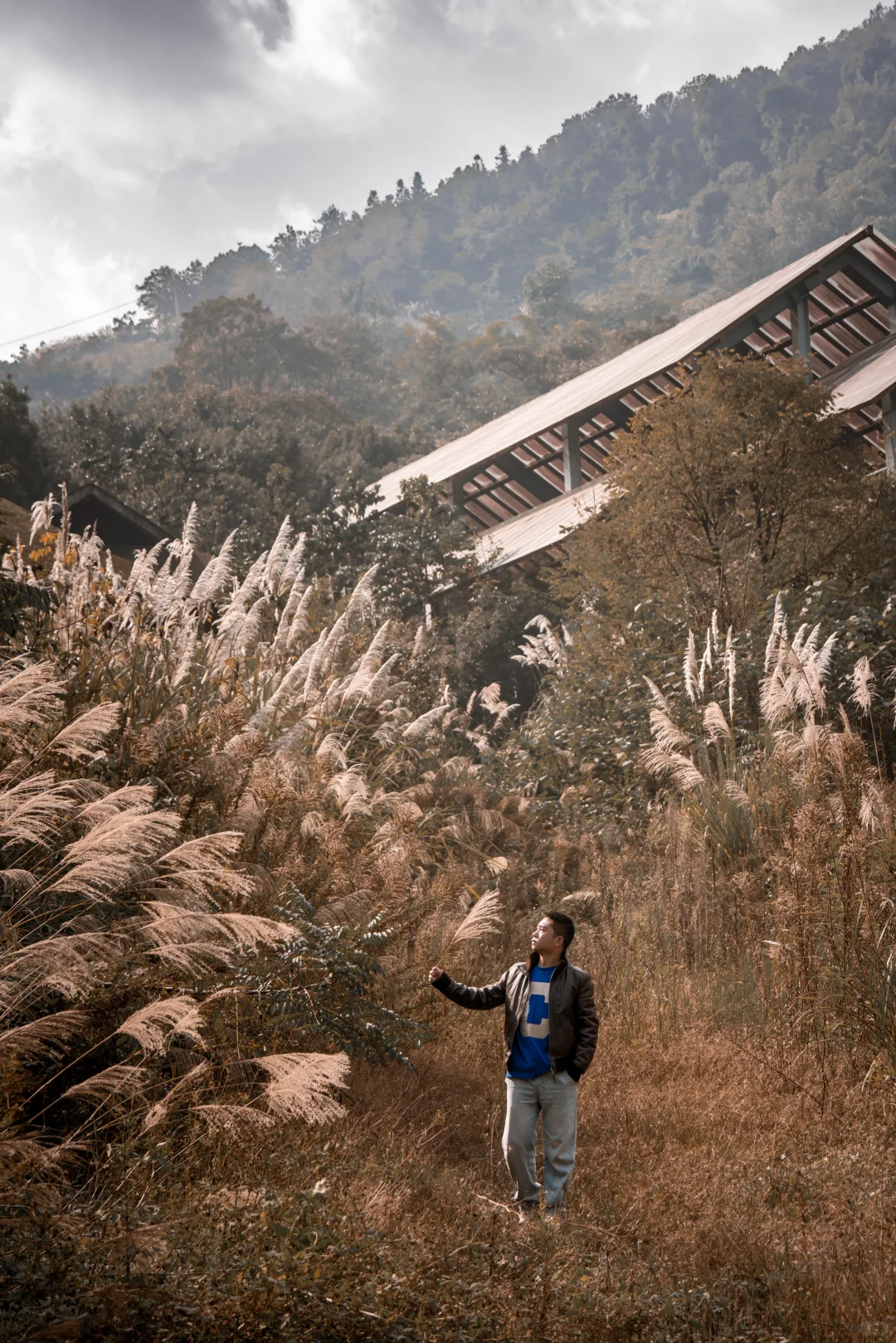 🍂北碚这条免费小众路线藏了整个秋天！