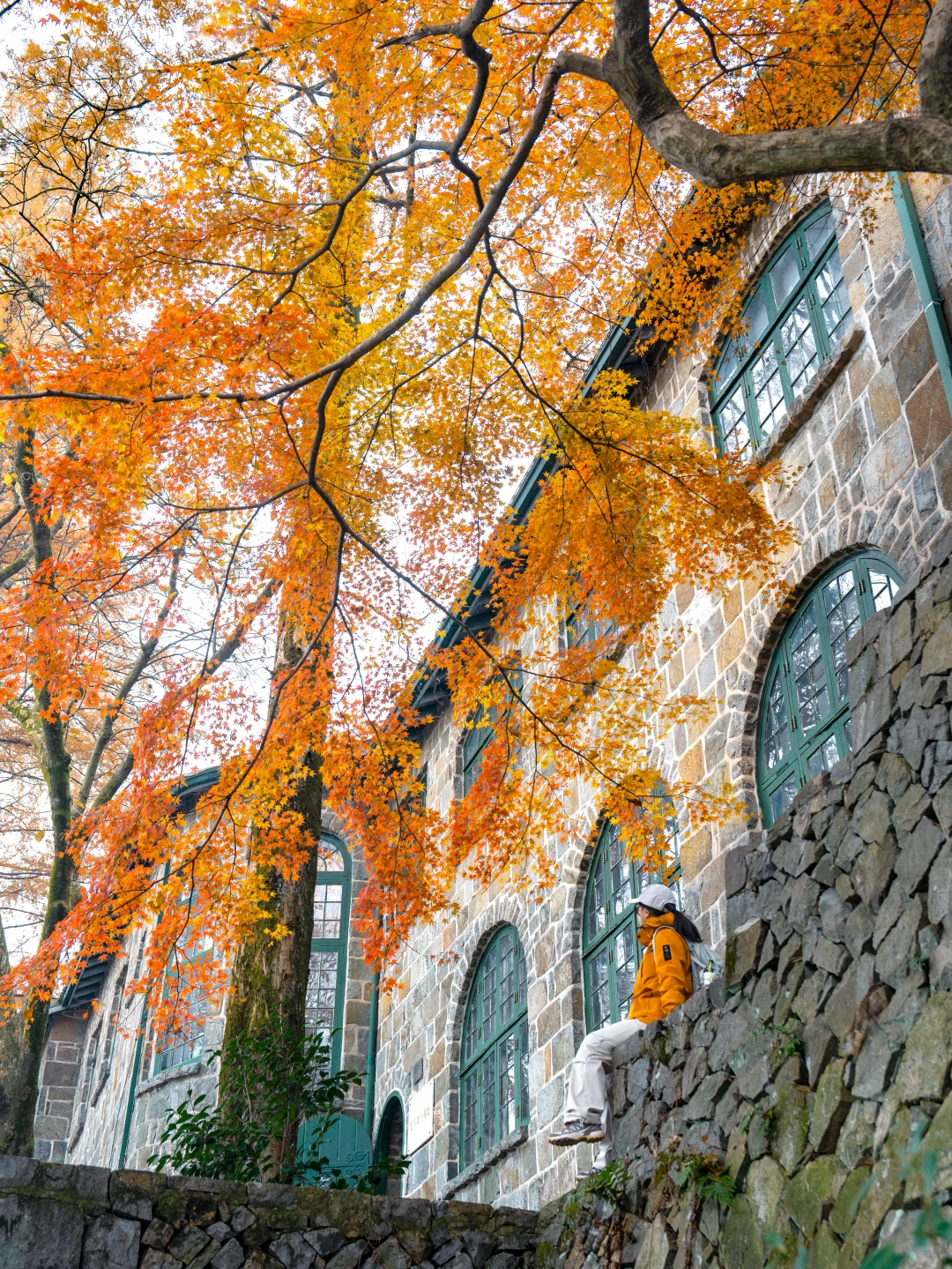 2025.11.20|莫干山的秋天红枫🍁杀疯了‼️