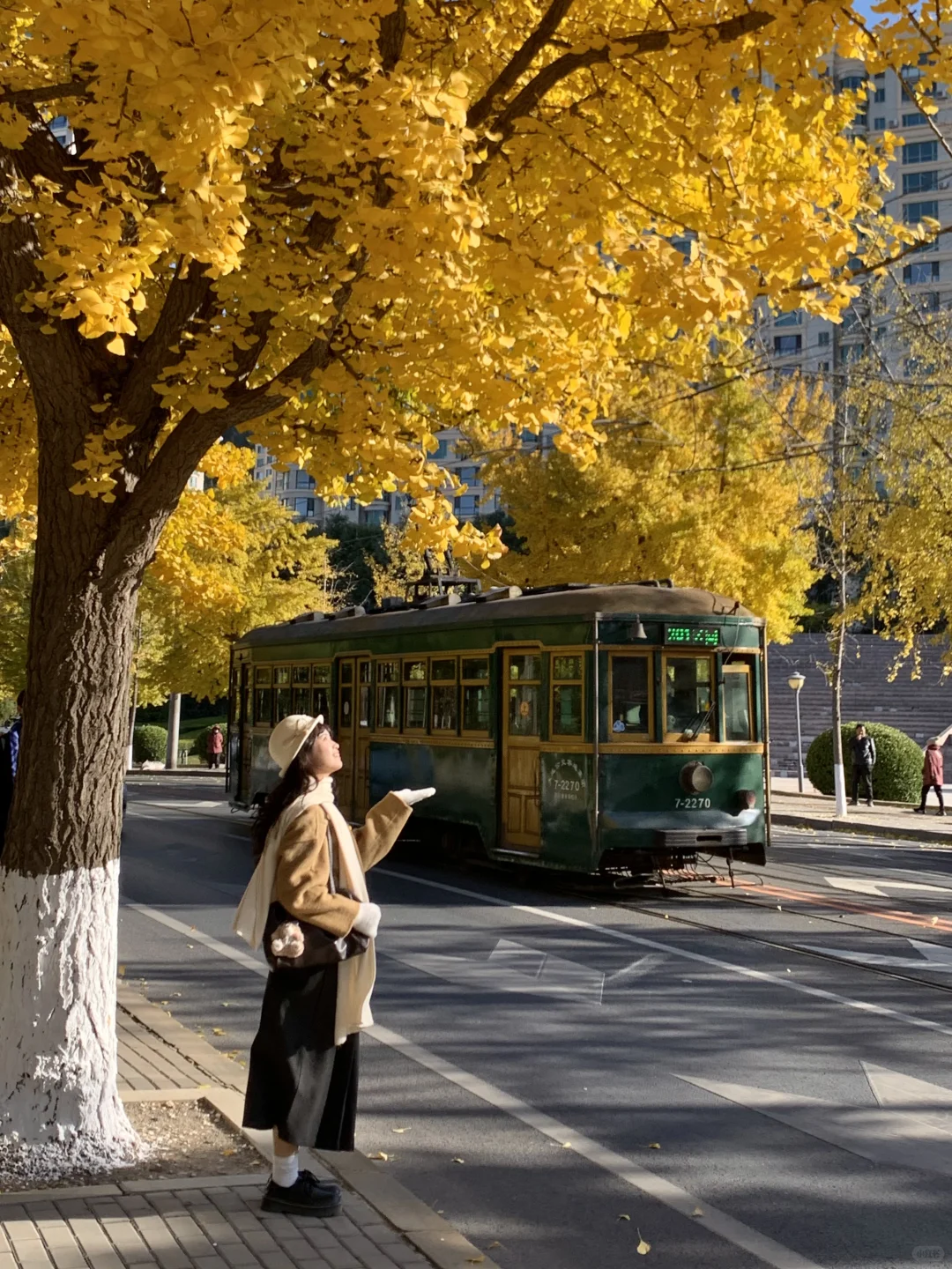 Live实况！来大连拍到了1️⃣8️⃣张人生照片！！