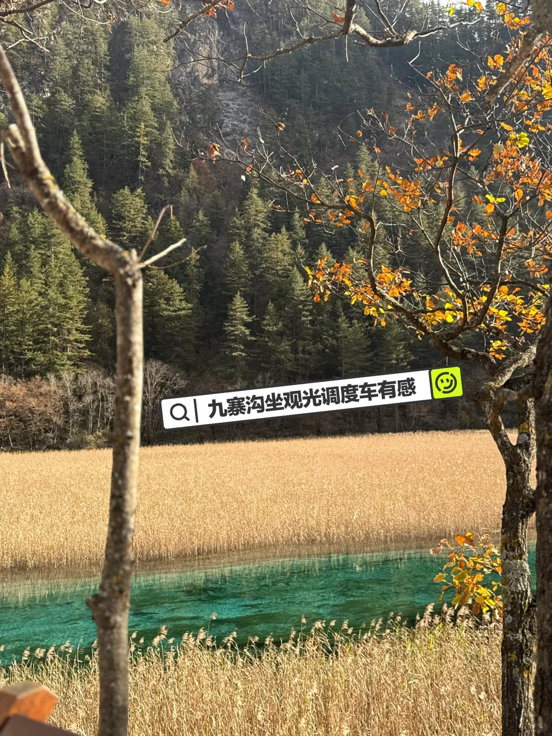 九寨沟坐随机观光调度车有感，亲历调度分配