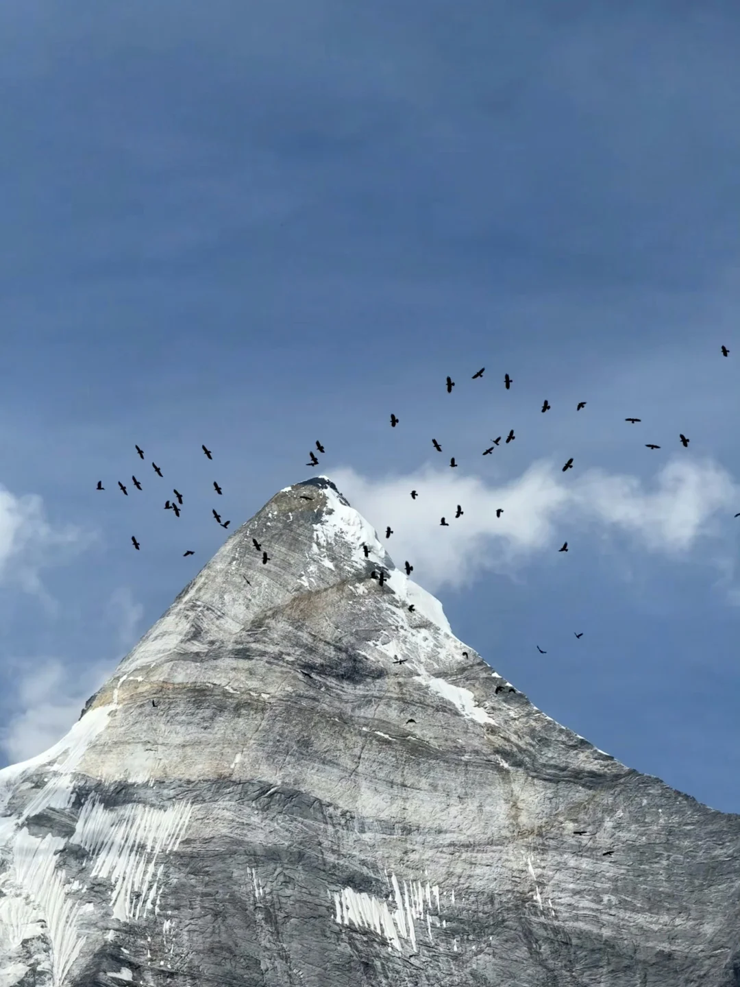 川西在我这里一直是top1的级别