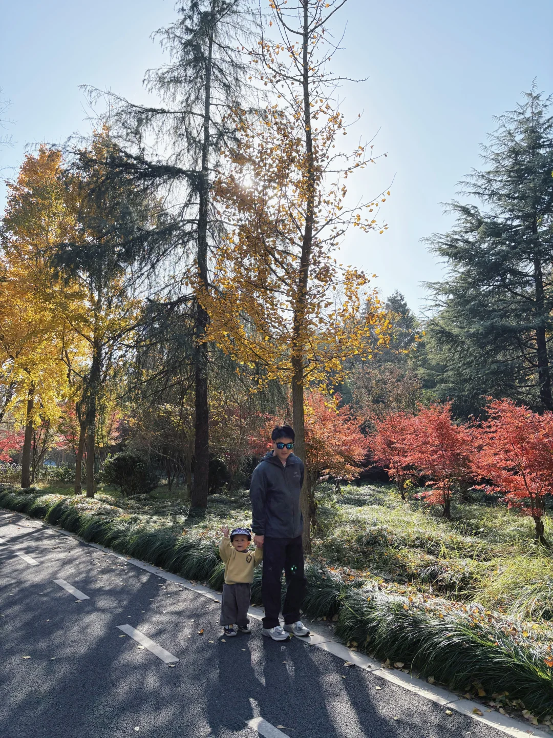 江浙沪遛娃plog崇明吃席一日游西沙湿地公园