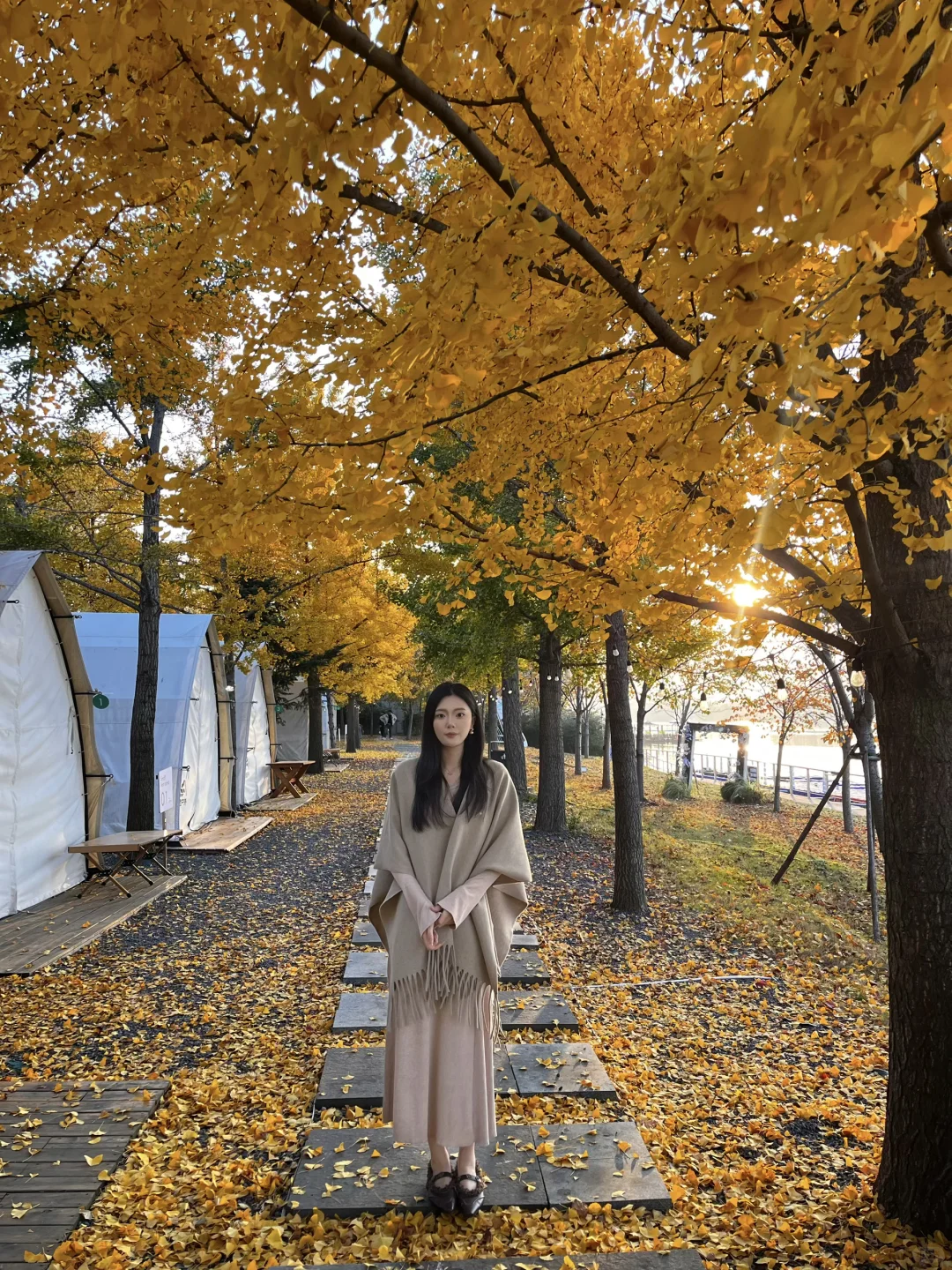 11.12实况｜临沂的秋天已经美到next level了