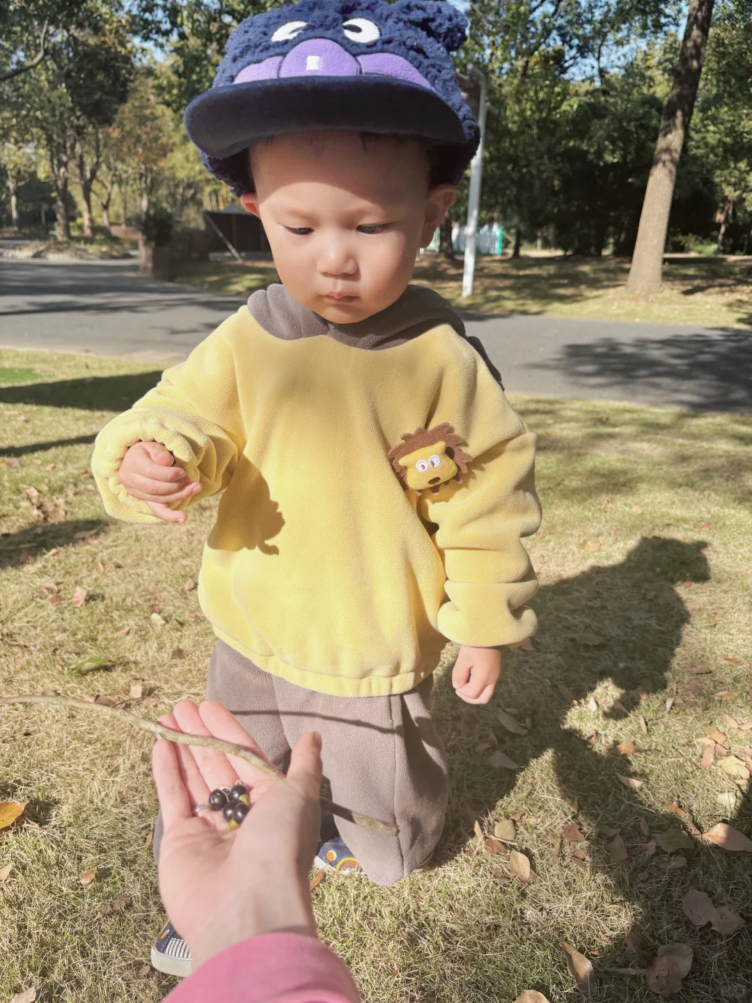 江浙沪遛娃plog崇明吃席一日游西沙湿地公园