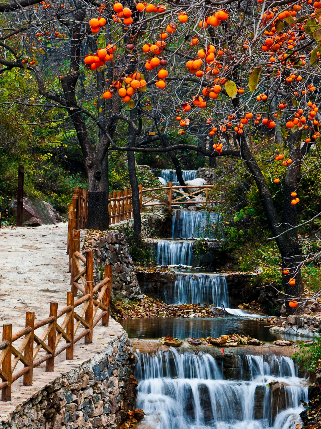 🔥山西绝美古村！把整个秋天“晒”给你看