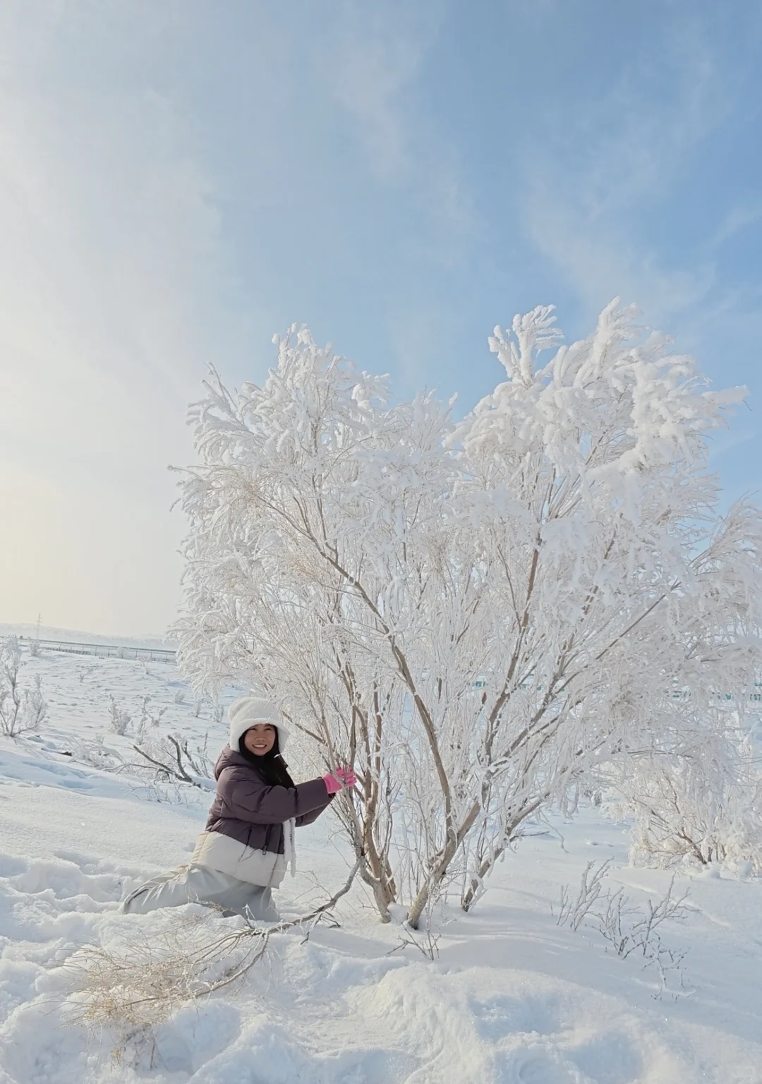 新疆7 天6晚保姆级攻略|赛湖+禾木+滑雪