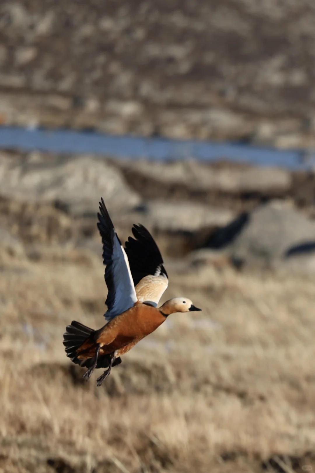 辞职后，5月自驾，南下吃喝玩乐，满足🥳