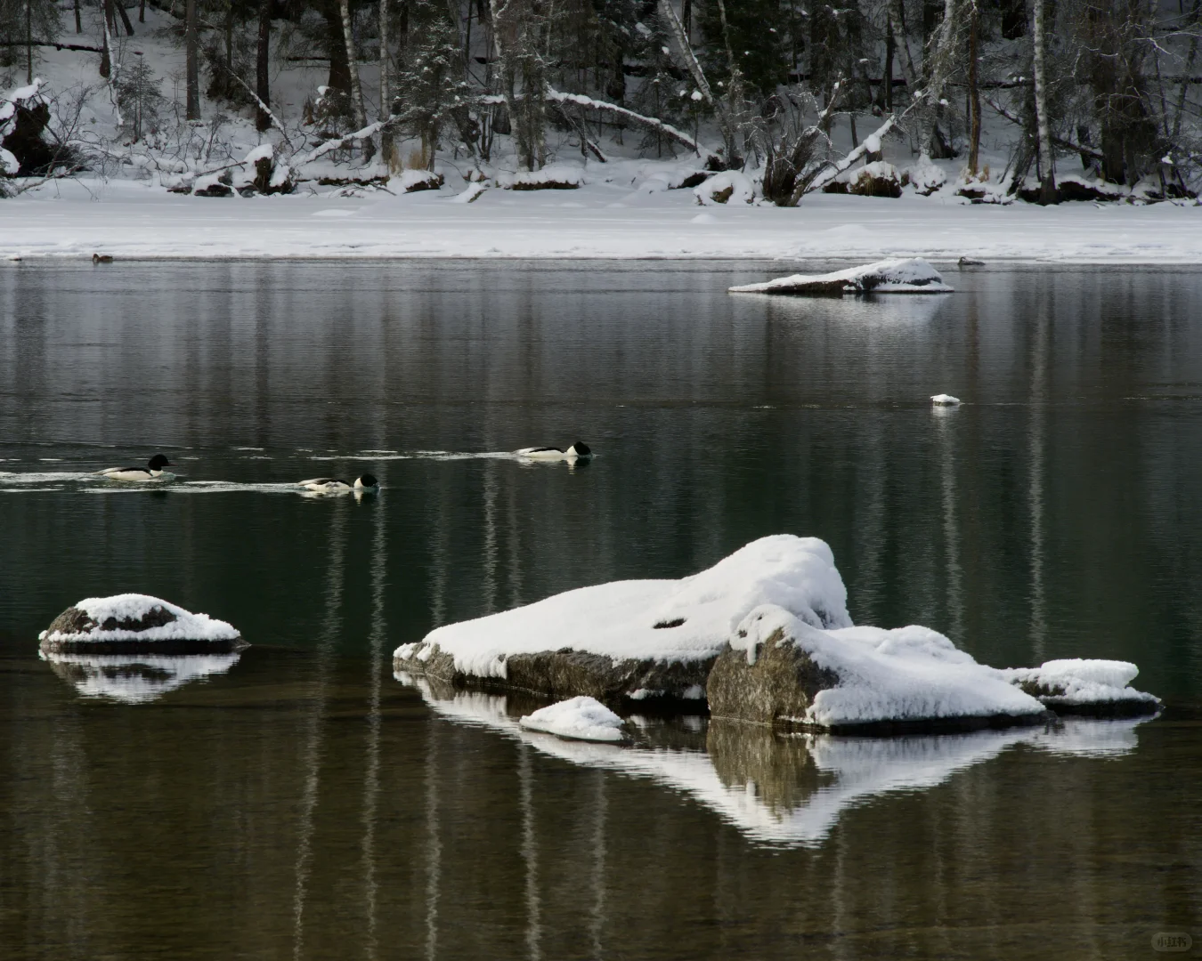 夕阳下的将军山、喀纳斯、白哈巴