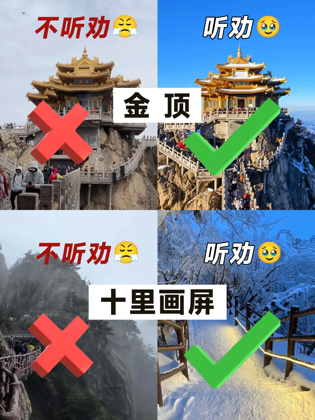 谁懂啊！刚从老君山回来😭