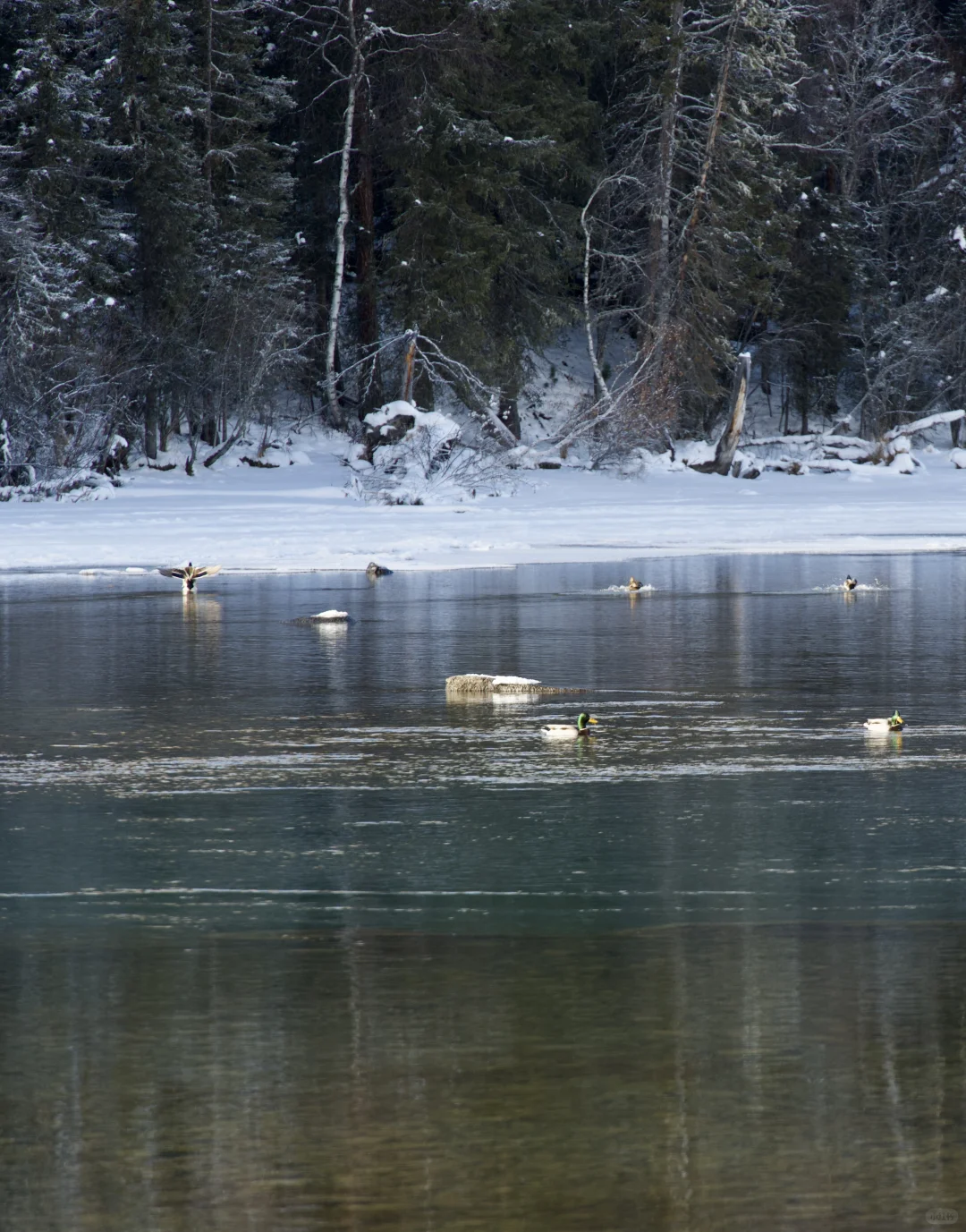 夕阳下的将军山、喀纳斯、白哈巴