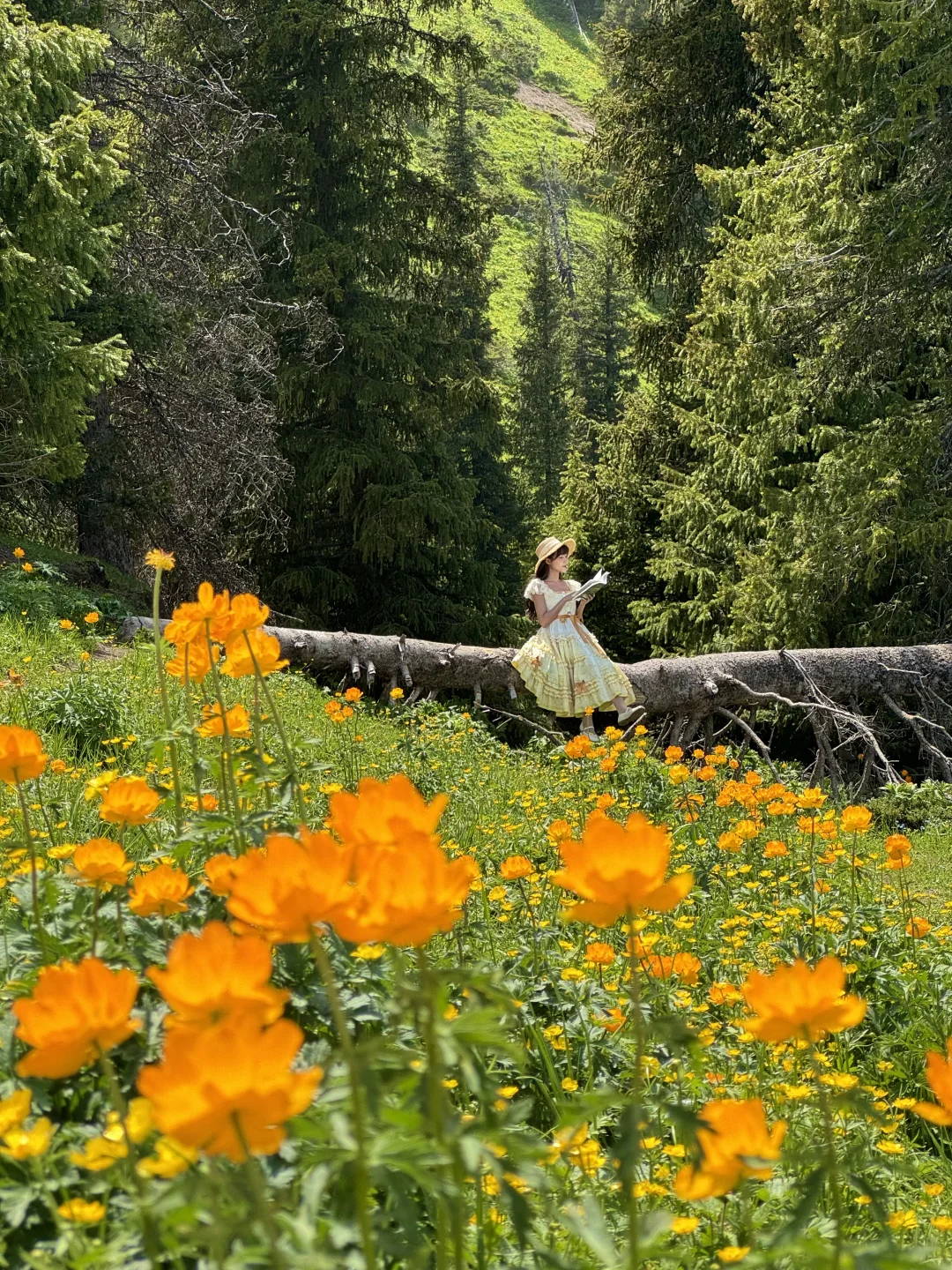 这辈子都舍不得删的live图🌿