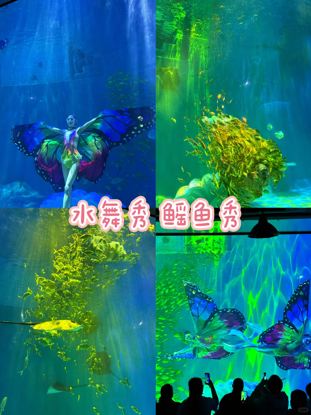 在冰城邂逅冬日童话❄️哈尔滨旅游攻略❗️