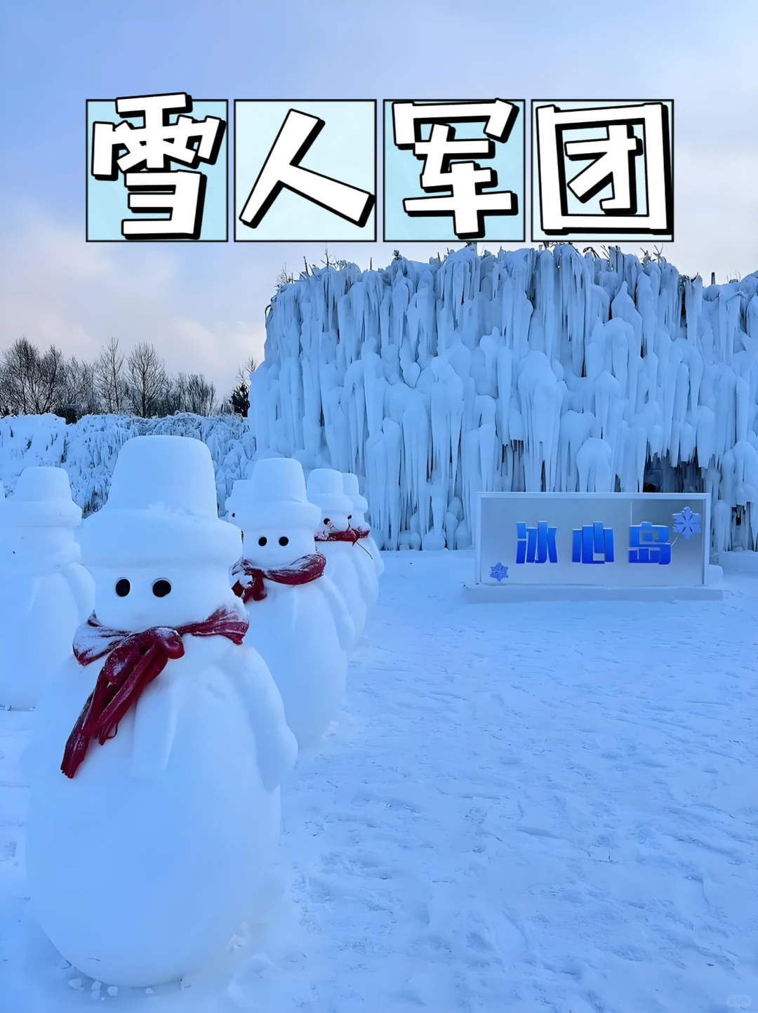 长白山雪绒花乐园｜免费入园！冰封玫瑰超美