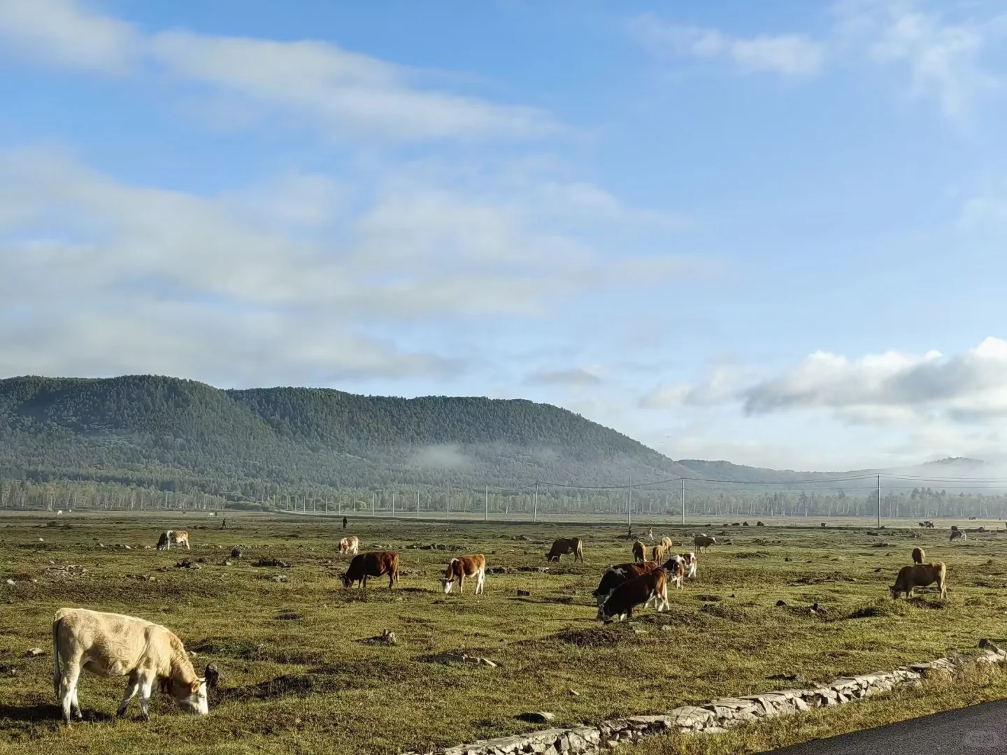 漠河到呼伦贝尔七天六晚旅游需要准备什么多