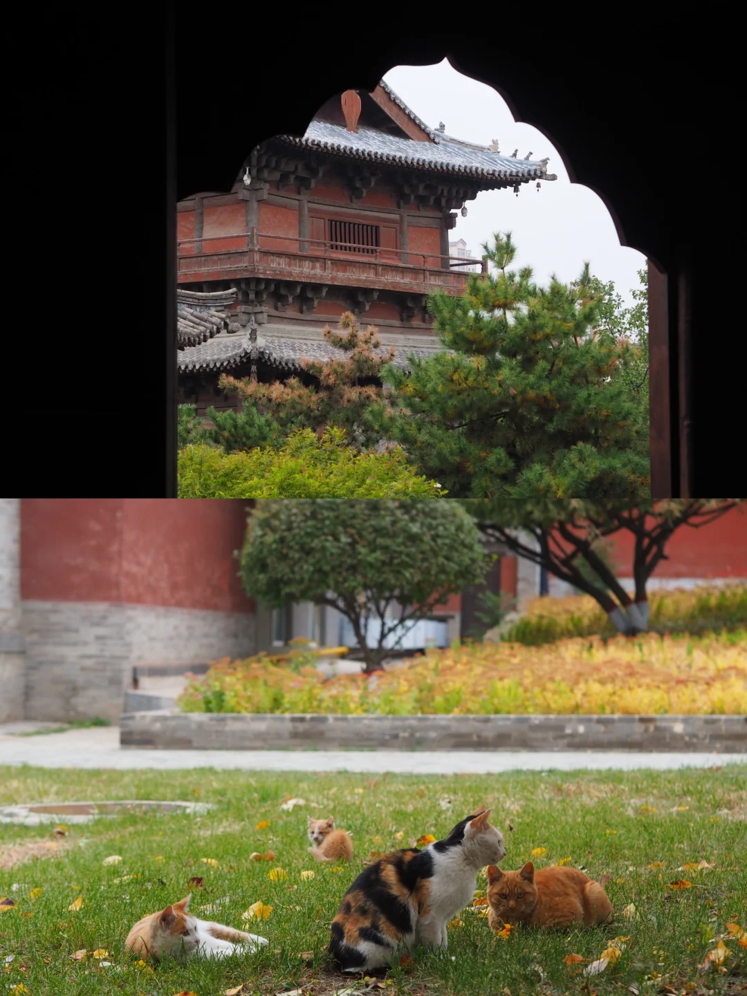 山西大同三日游🍂邂逅秋色与古建