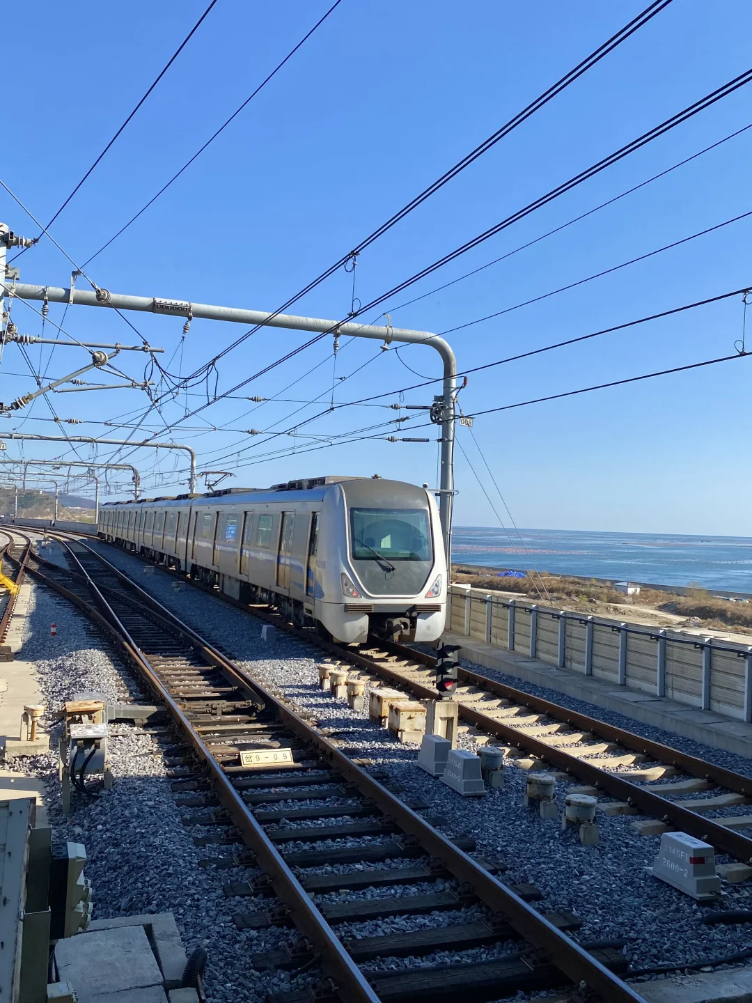 Live实况！来大连拍到了1️⃣8️⃣张人生照片！！