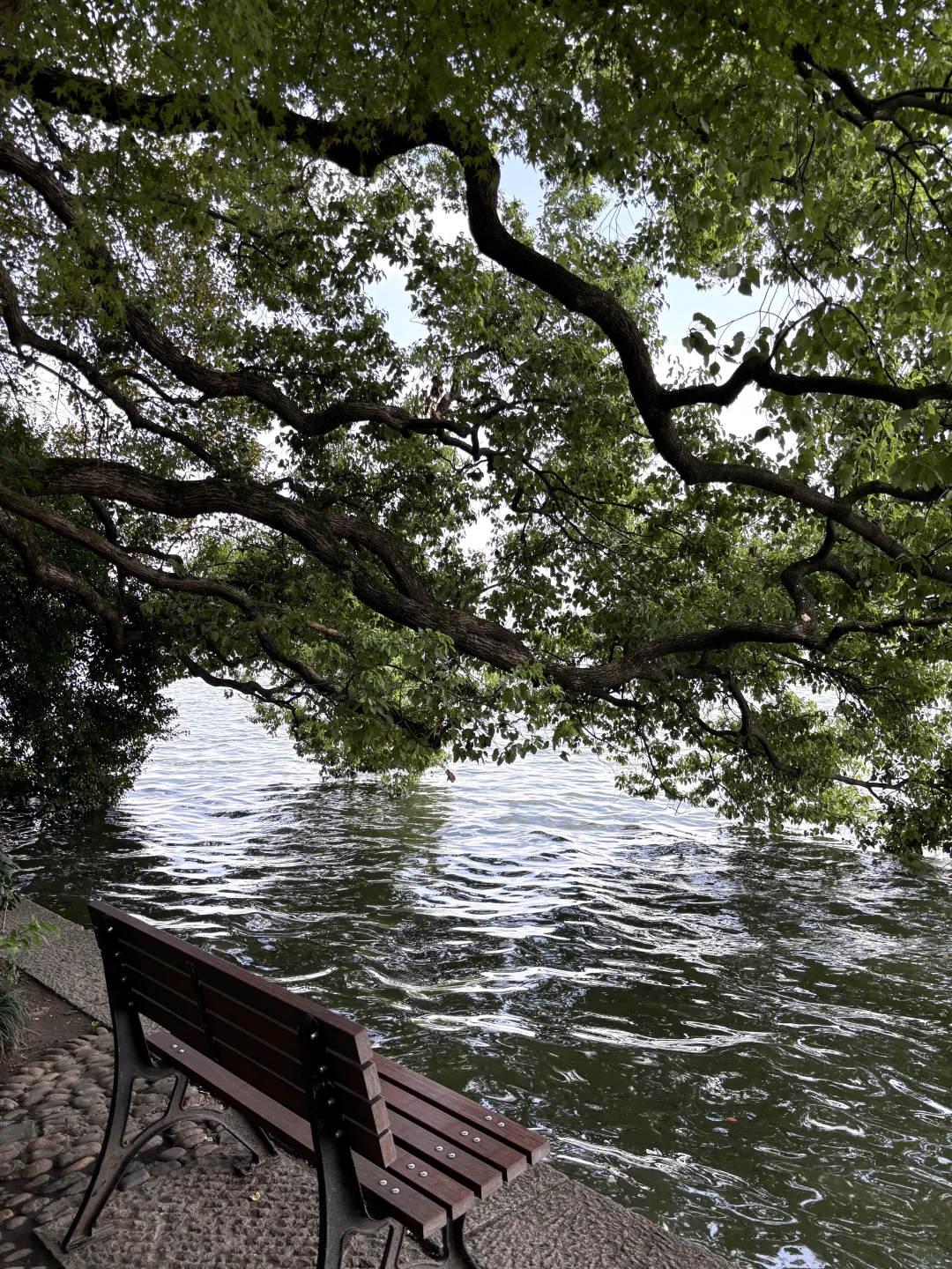 为了这1️⃣8️⃣张照片，特意去了一趟杭州…