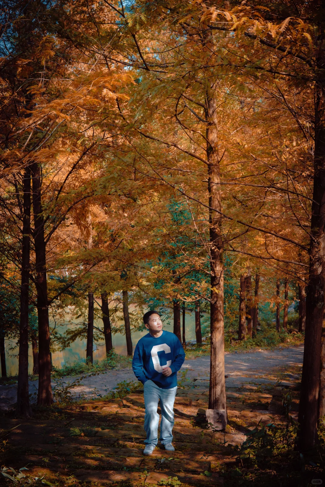 🍂北碚这条免费小众路线藏了整个秋天！