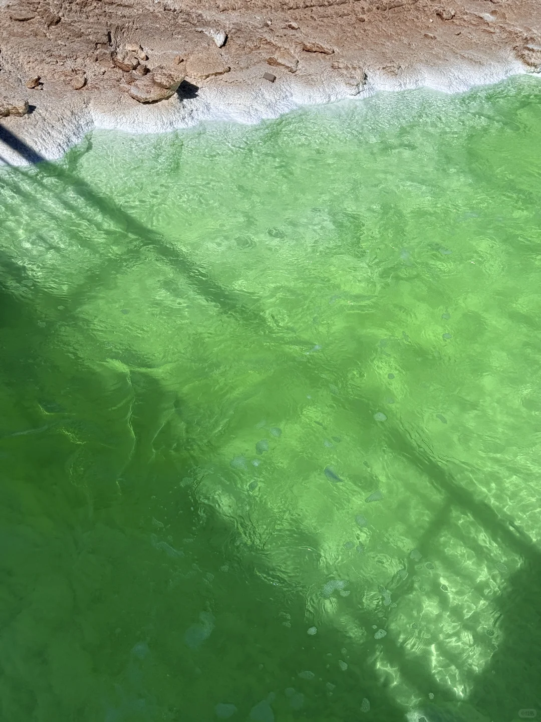 察尔汗盐湖 请你喝 冰萃青提 🧊