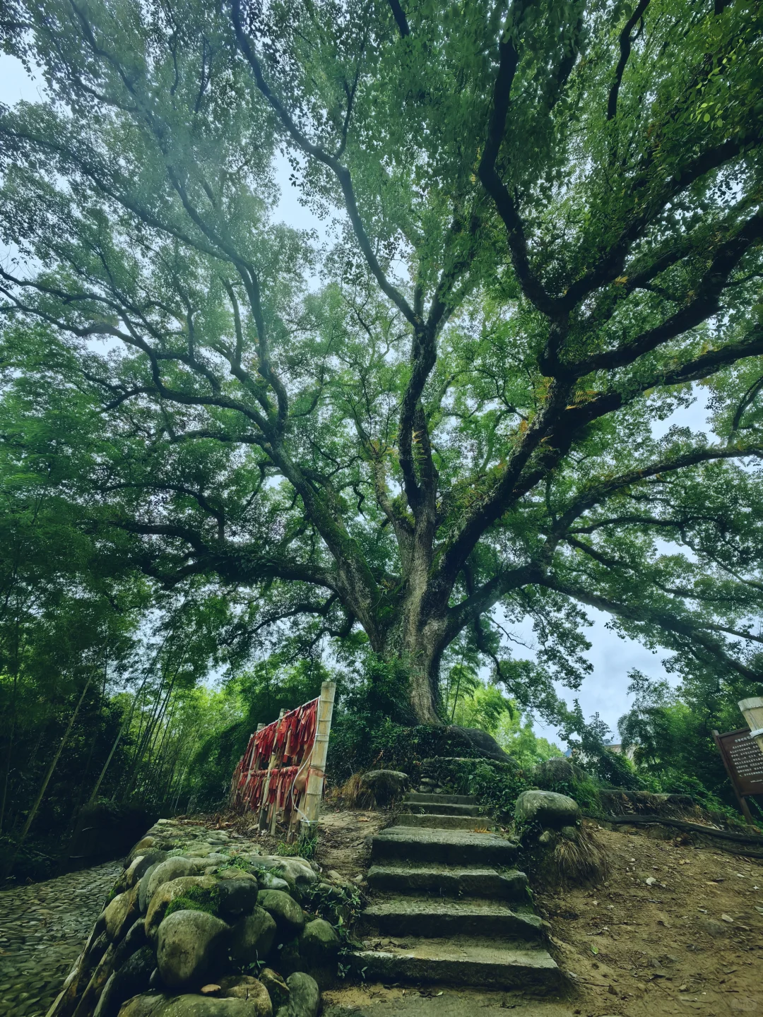 古堰画乡|诗意一般的古村！