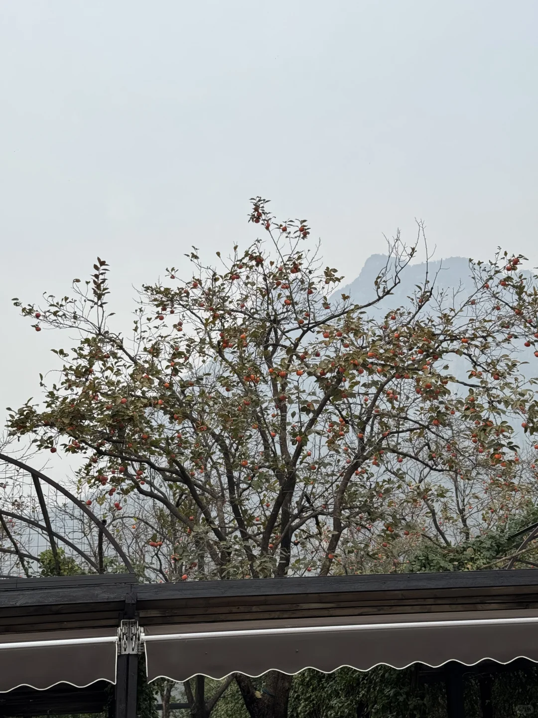 如果在河南只爬一座山 那一定是云台山🏔️