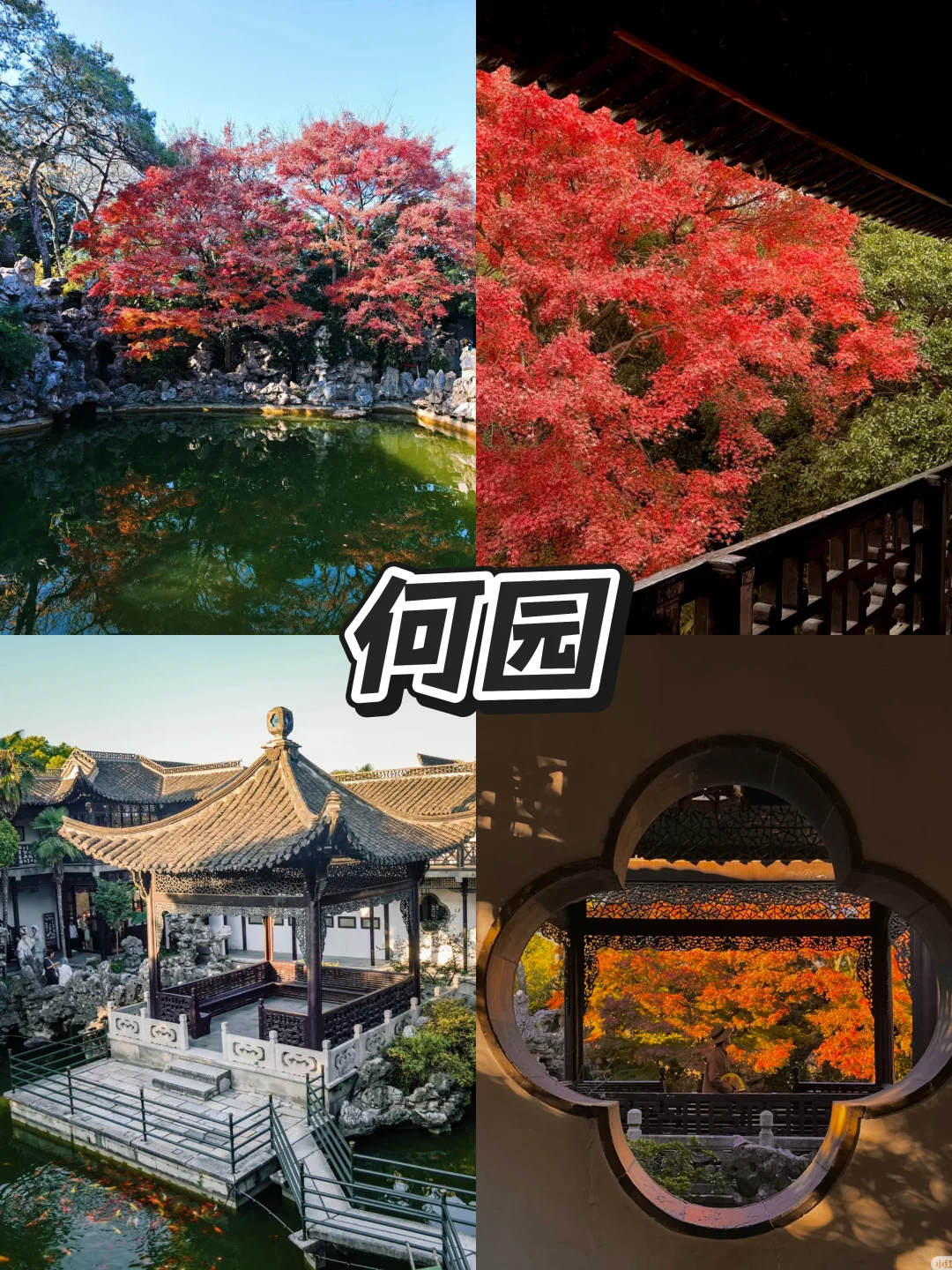 扬州|12月来扬州!可以看看这个攻略!!