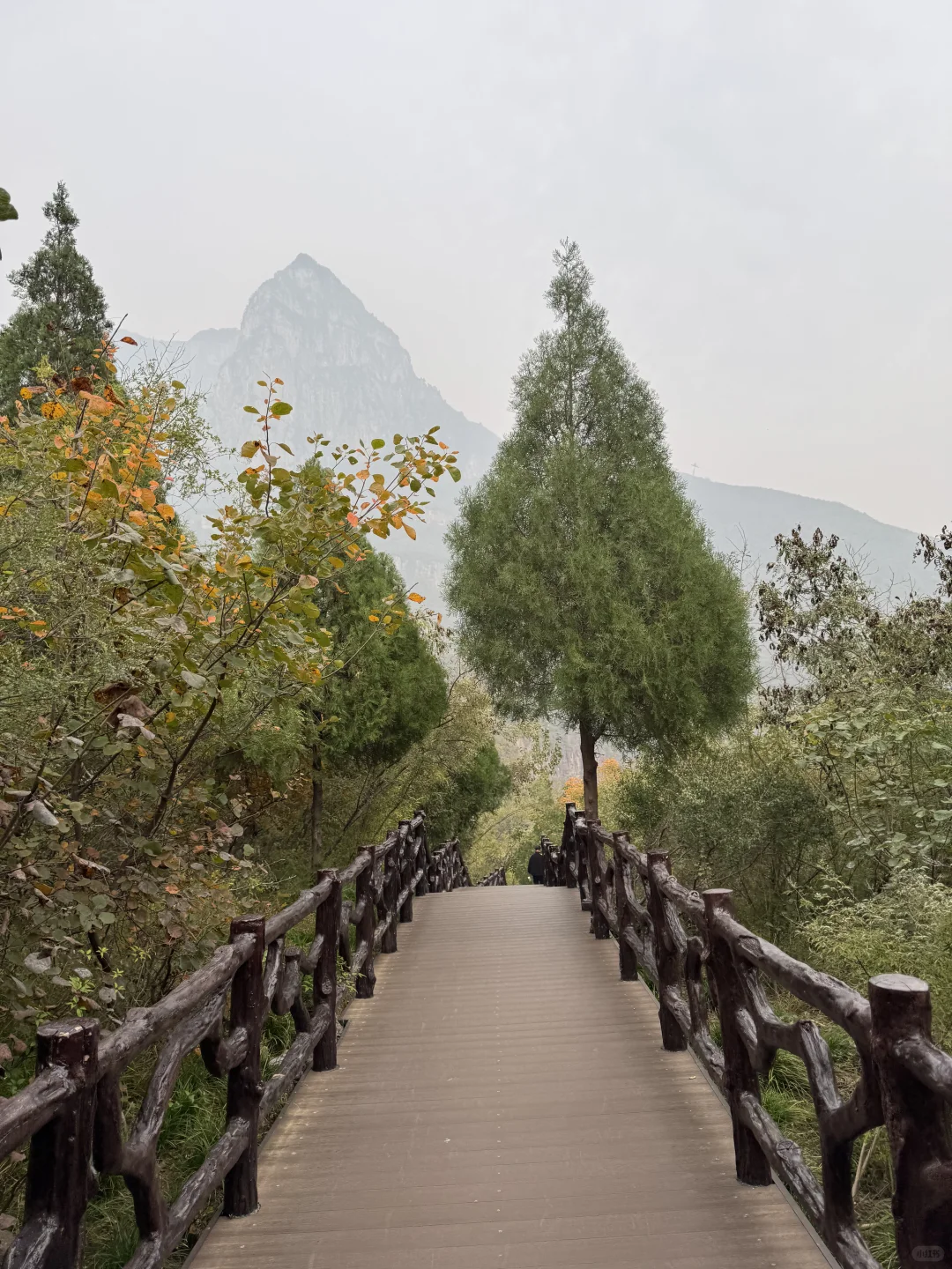 如果在河南只爬一座山 那一定是云台山🏔️