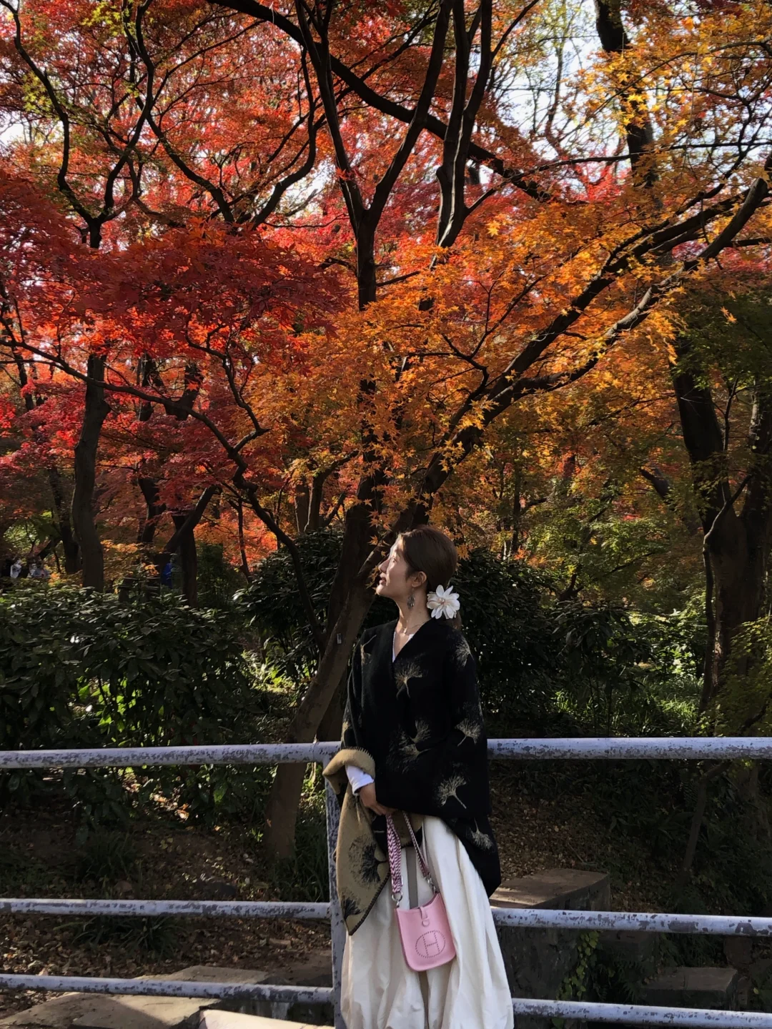 11.28实况！不在京都 在南京🍁枫叶美哭了🥹