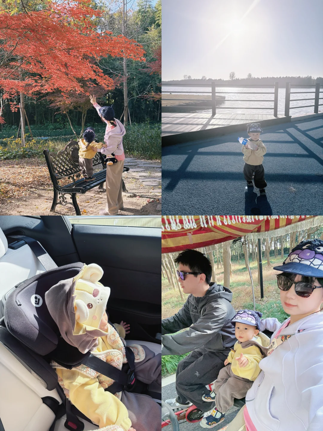 江浙沪遛娃plog崇明吃席一日游西沙湿地公园