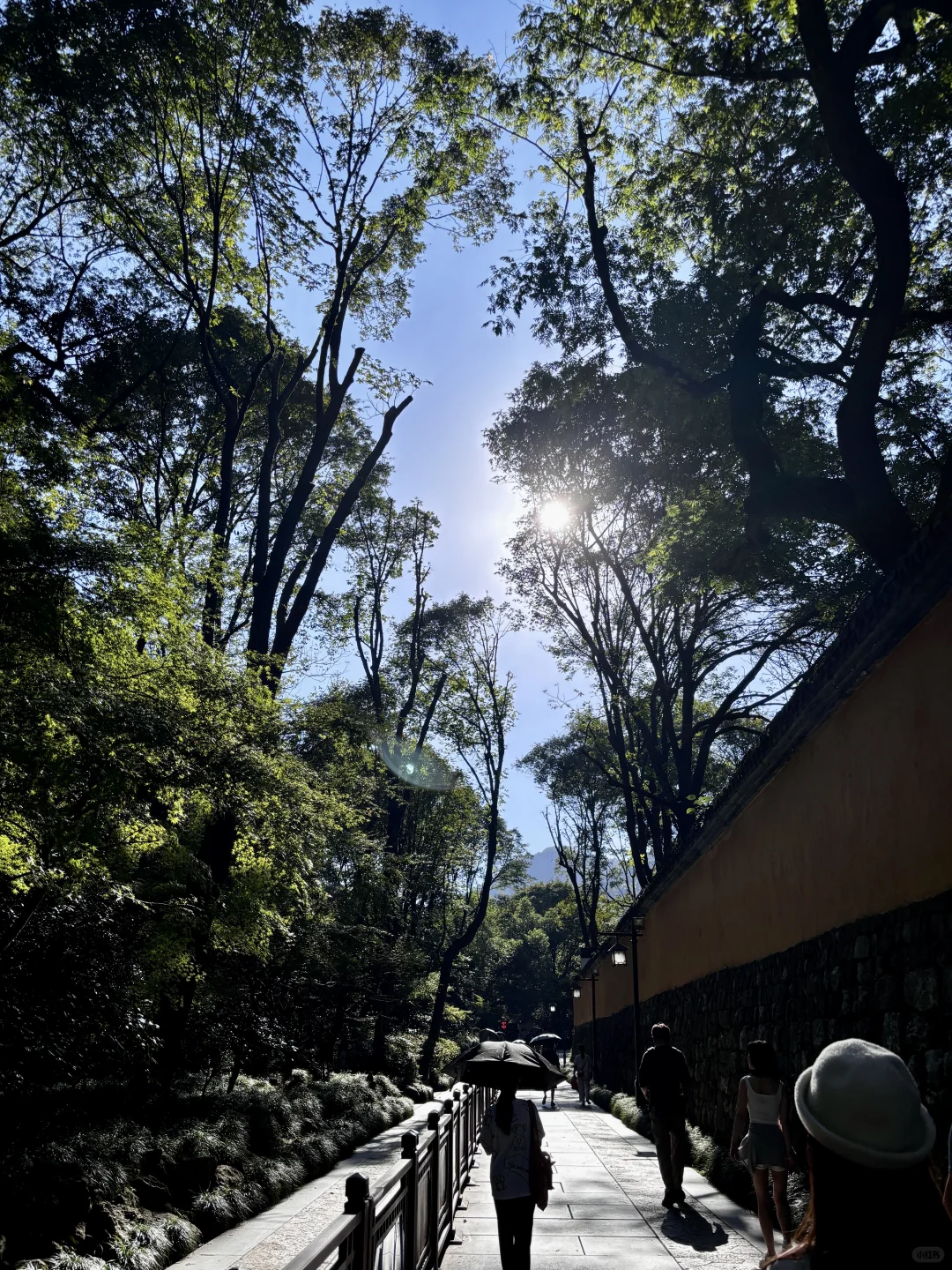 为了这1️⃣8️⃣张照片，特意去了一趟杭州…