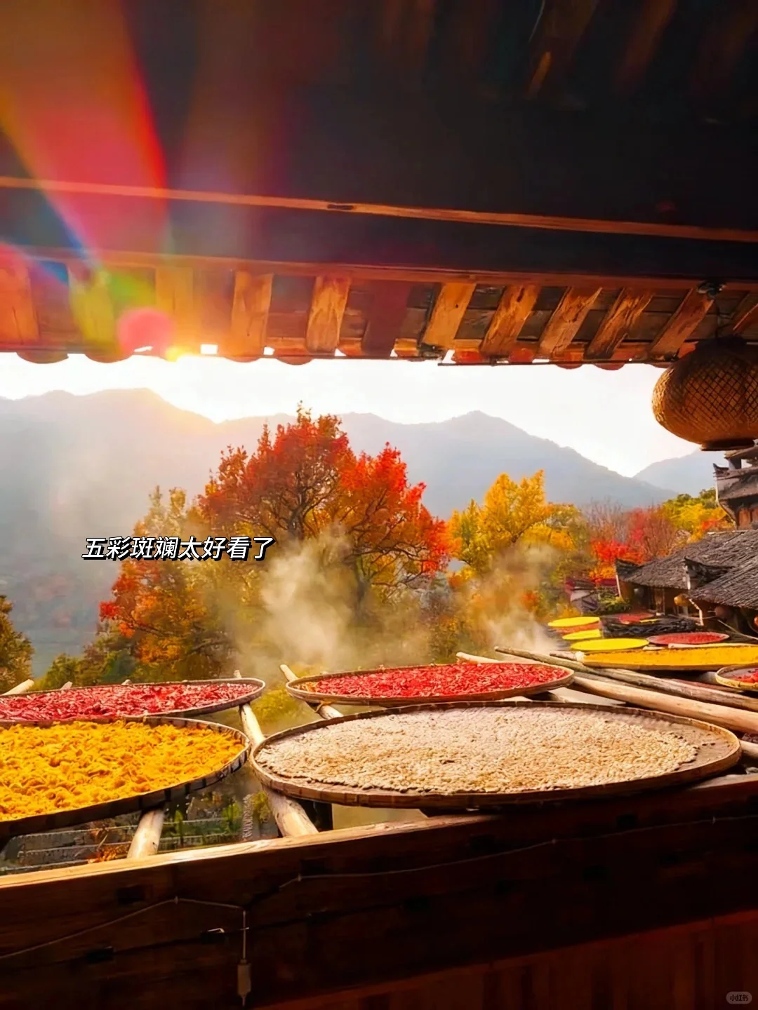 今年11~12月，只带娃去一个地方：徽州赏秋！🤩