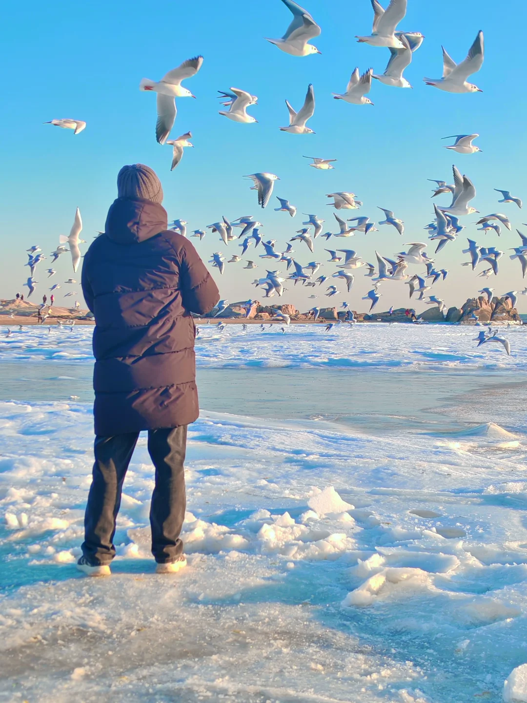 下个月一起去秦皇岛看冰河世纪‼️