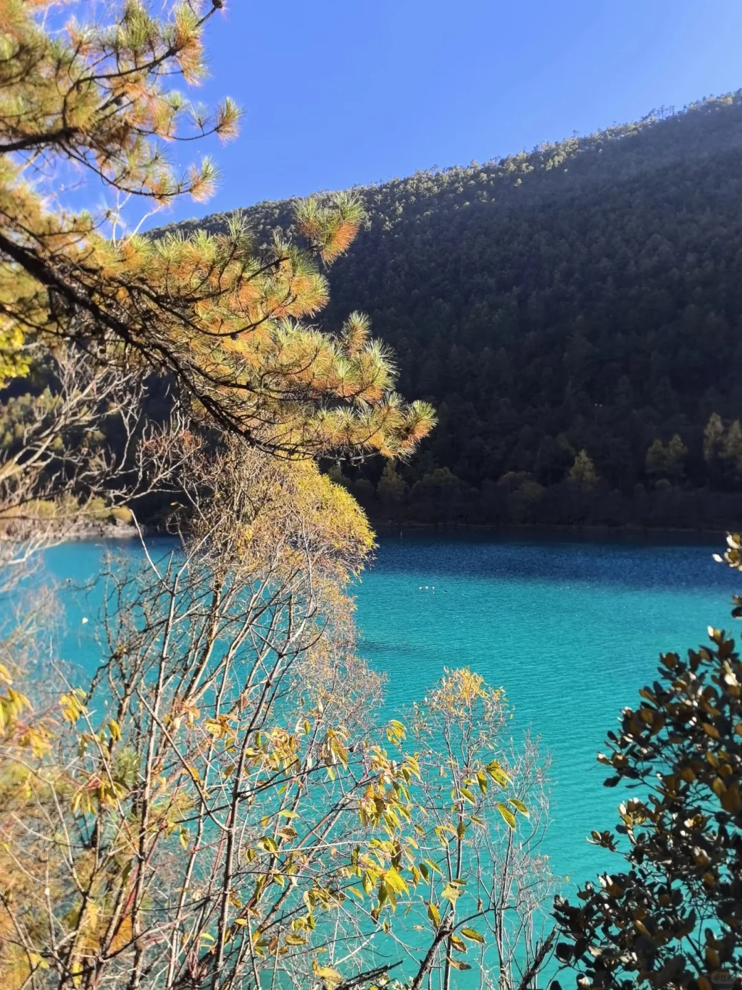 📍 玉龙雪山12.2实况｜一日游丽江往返200+