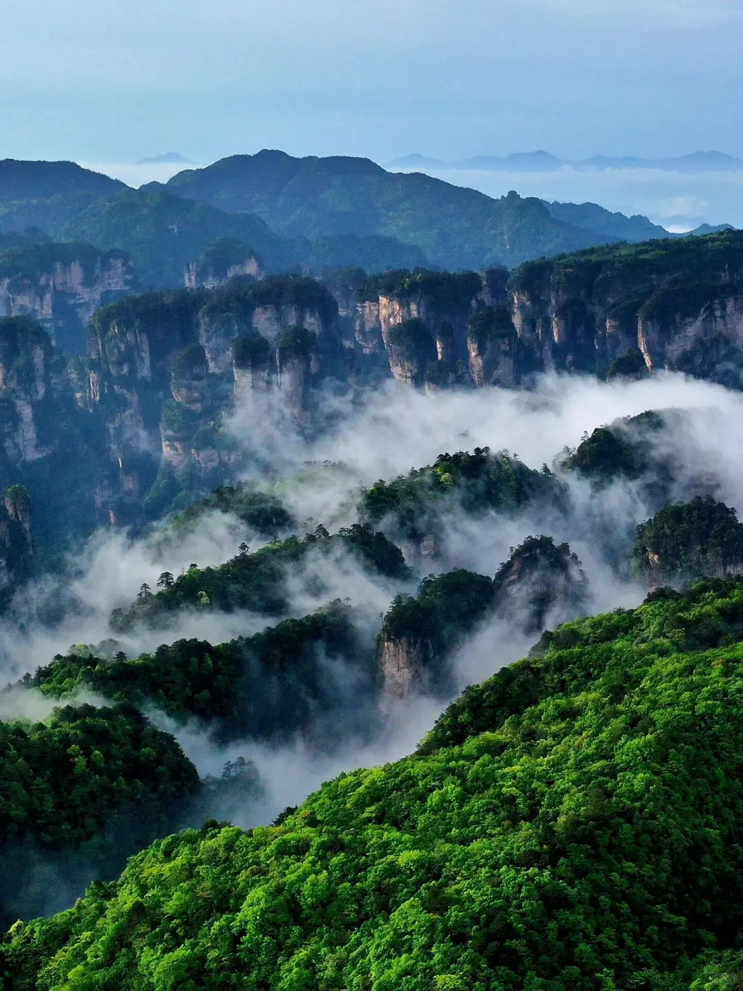 阿凡达取景地超全攻略,这样玩准没错