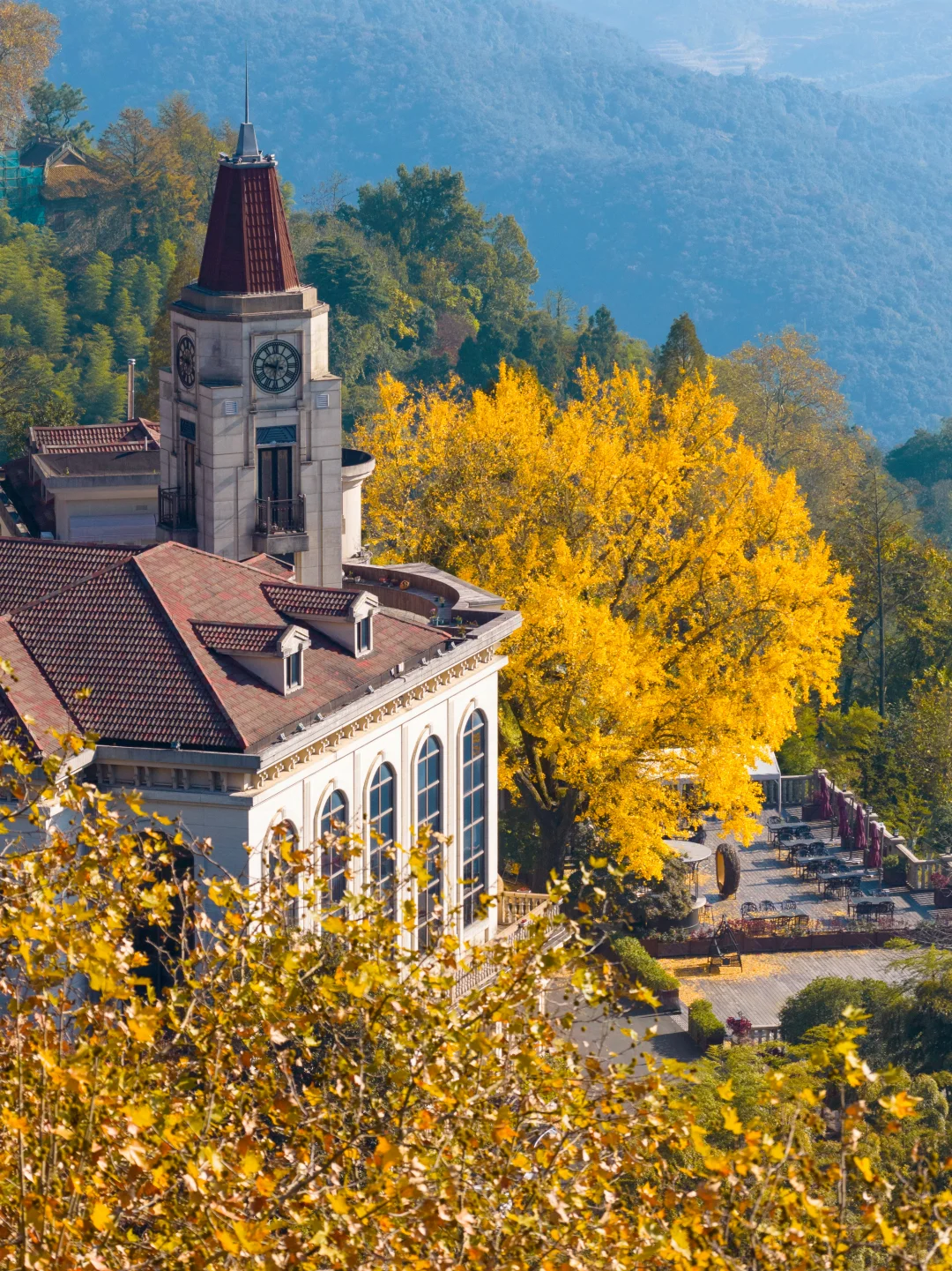 2025.11.20|莫干山的秋天红枫🍁杀疯了‼️