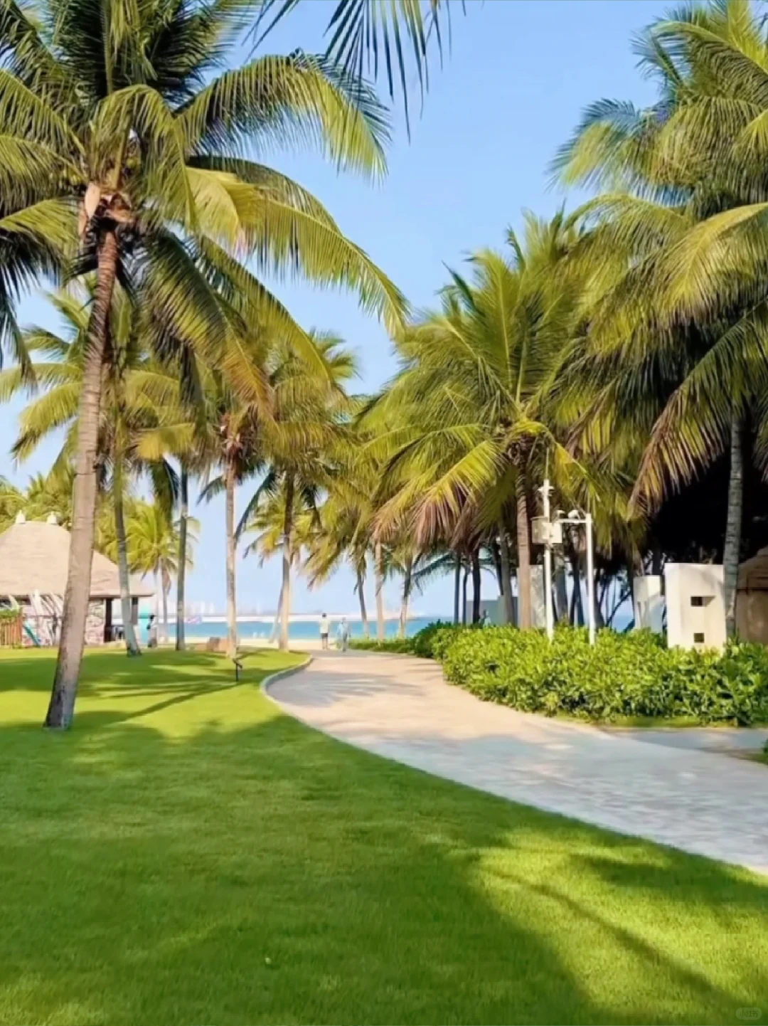 陵水最新状况！11月起酒店集体大跳水…