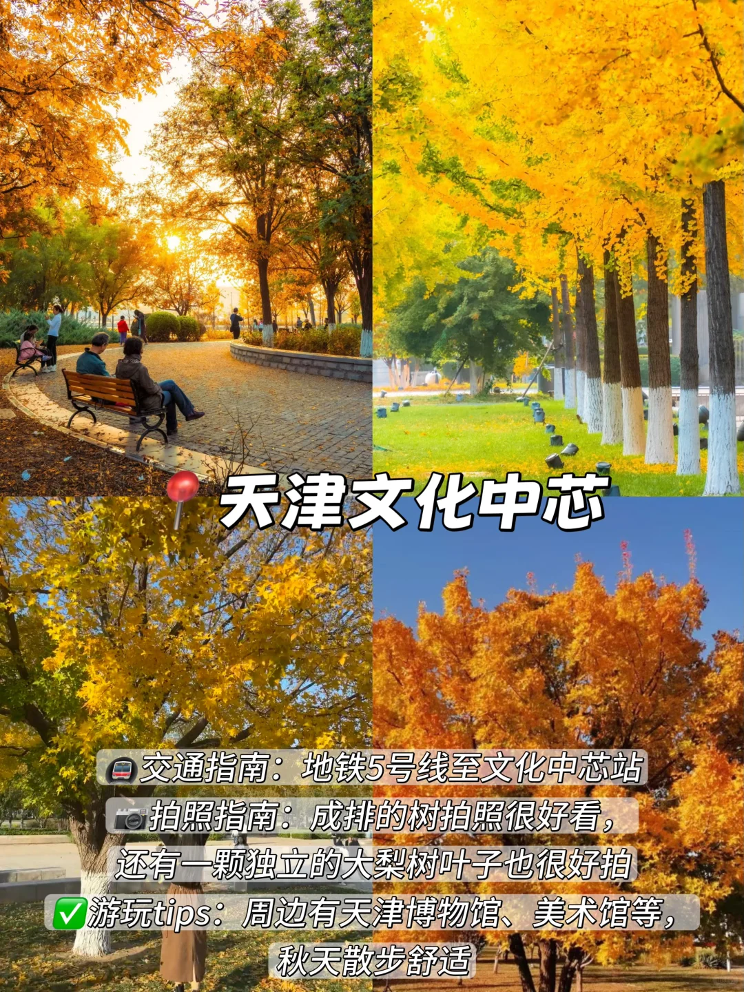 3年总结！天津秋天一定要去的9️⃣个地方！
