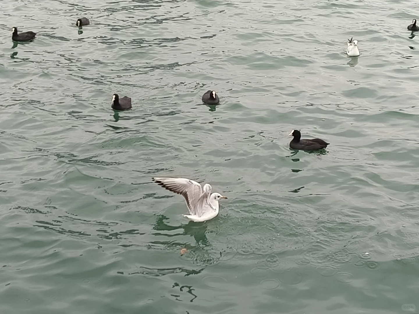 📍济南出发|周末两日游好去处推荐~