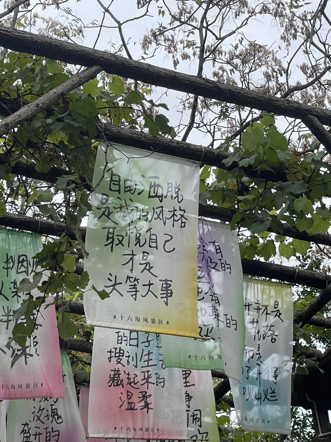 欢迎来到邯郸