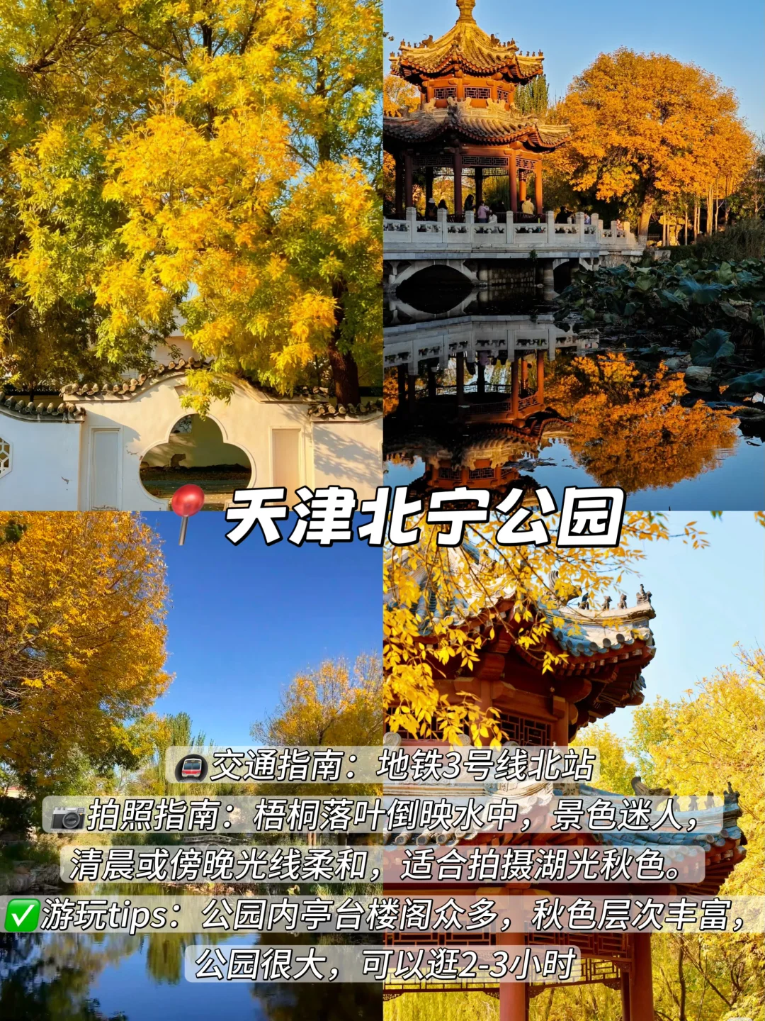 3年总结！天津秋天一定要去的9️⃣个地方！